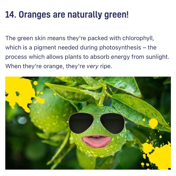 #3 ❤️ Like #4 This one FULL ❤️🦭🐨 - Picture 15 of 16